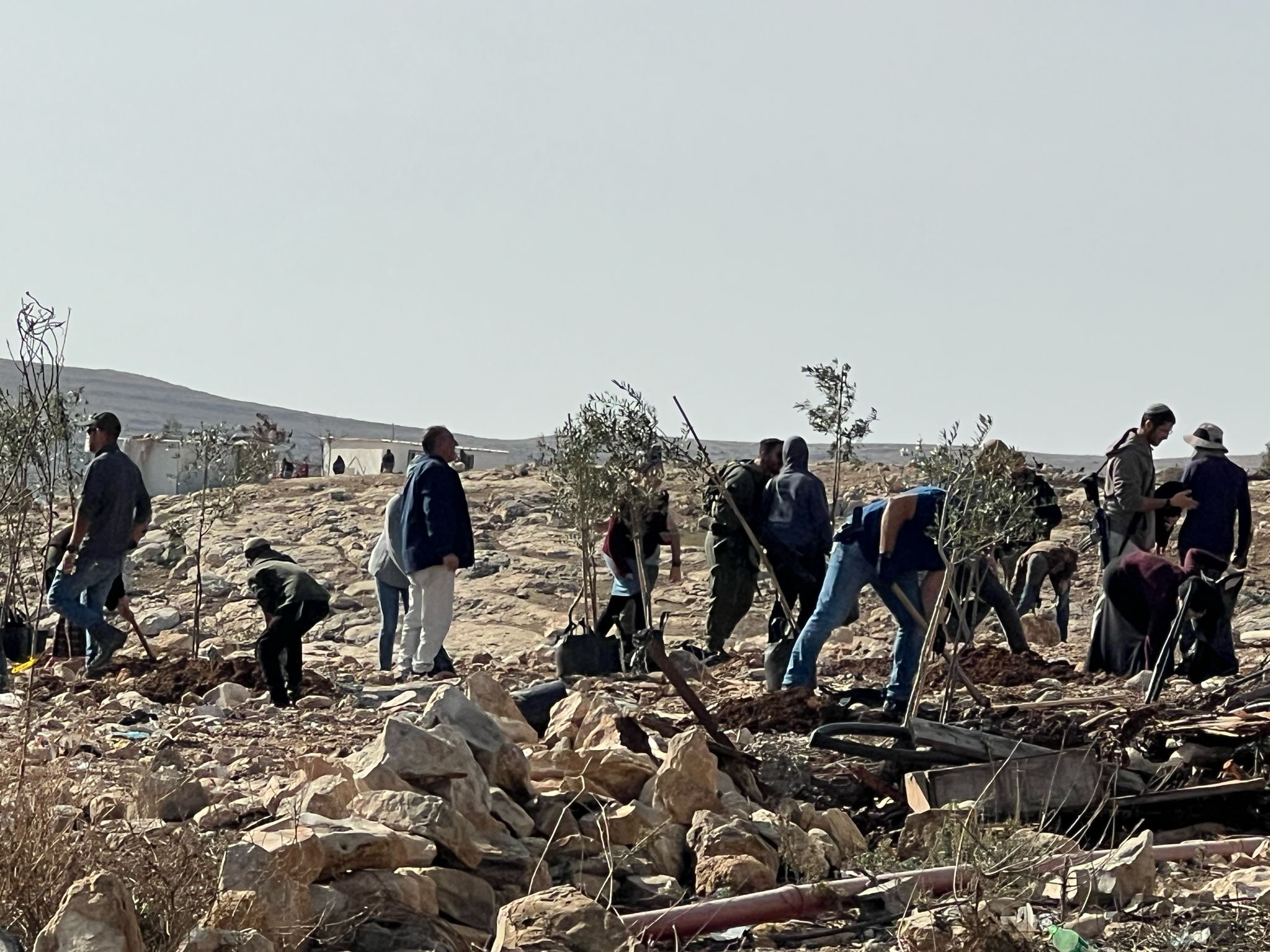 صورة أرشيفية